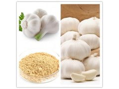 大蒜提取物的深層健康益處 一種優(yōu)質(zhì)的比例植物提取物探析