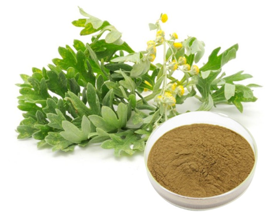 艾葉提取物在化妝品中的功效與應(yīng)用 天然植物源護(hù)膚潛力解析