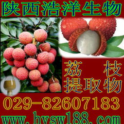 供應(yīng)荔枝提取物 天然植物提取物的價(jià)值與選購(gòu)指南