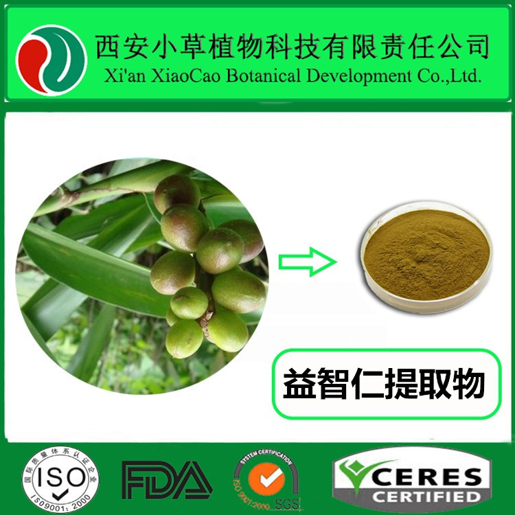 益智仁提取物 功效、應(yīng)用與市場(chǎng)解析